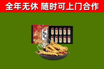 平坝烟酒回收冬虫夏草礼盒.jpg