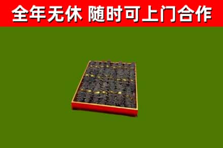 平坝回收海参